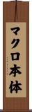 マクロ本体 Scroll