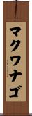 マクワナゴ Scroll