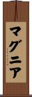 マグニア Scroll