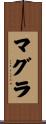 マグラ Scroll