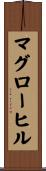 マグローヒル Scroll