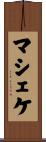 マシェケ Scroll