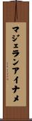 マジェランアイナメ Scroll