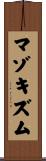 マゾキズム Scroll