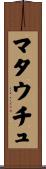マタウチュ Scroll