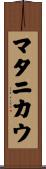 マタニカウ Scroll