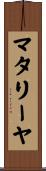 マタリーヤ Scroll