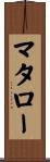 マタロー Scroll