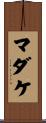 マダケ Scroll