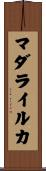 マダライルカ Scroll