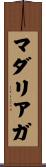 マダリアガ Scroll