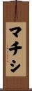 マチシ Scroll