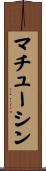 マチューシン Scroll