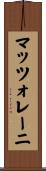 マッツォレーニ Scroll