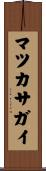 マツカサガイ Scroll