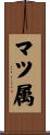マツ属 Scroll