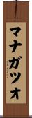 マナガツオ Scroll