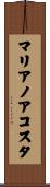 マリアノアコスタ Scroll