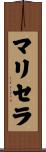 Maricela Scroll