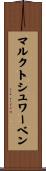 マルクトシュワーベン Scroll