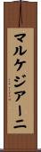 マルケジアーニ Scroll