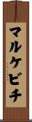 マルケビチ Scroll