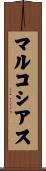 マルコシアス Scroll