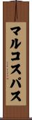 マルコスパス Scroll
