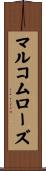 マルコムローズ Scroll