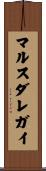 マルスダレガイ Scroll
