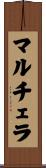 マルチェラ Scroll
