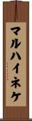 マルハイネケ Scroll