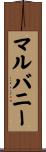 Mulvaney Scroll