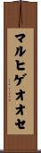 マルヒゲオオセ Scroll