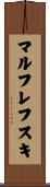 マルフレフスキ Scroll