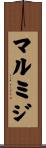 マルミジ Scroll