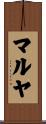 マルヤ Scroll