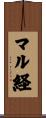 マル経 Scroll
