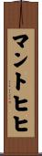 マントヒヒ Scroll