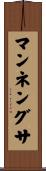 マンネングサ Scroll