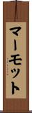 マーモット Scroll