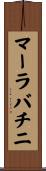 マーラバチニ Scroll