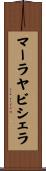 マーラヤビシェラ Scroll