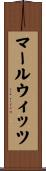 マールウィッツ Scroll