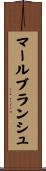 マールブランシュ Scroll