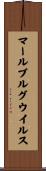 マールブルグ・ウイルス Scroll