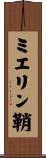 ミエリン鞘 Scroll