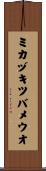 ミカヅキツバメウオ Scroll