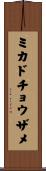 ミカドチョウザメ Scroll