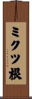 ミクツ根 Scroll